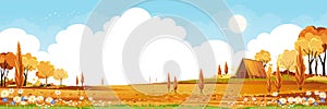 Autumn fields landscape with mountain,blue sky,cloud with copy space,Panorama Fall rural nature with range foliage, Cartoon vector