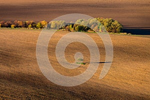 Autumn fields