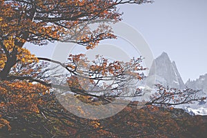 Autumn in Fitz Roy Moutain, Patagonia, El Chalten - Argentina