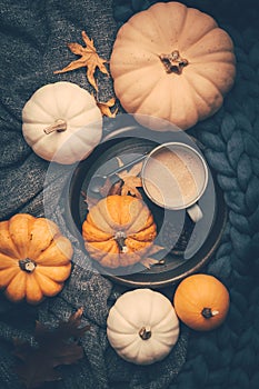Autumn fla tlay with cup of coffee, pumpkins and cuddle blanket photo