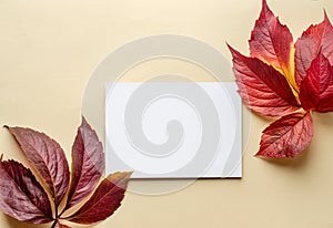 Autumn Flat Lay with Blank Card and Colorful Leaves on Beige Background photo