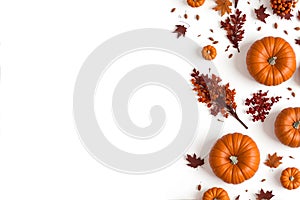 Autumn flat lay composition. Dried leaves, pumpkins, flowers, rowan berries on white background.