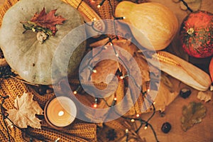 Autumn flat lay. Cozy moody image . Pumpkin, autumn leaves, candle, warm lights and nuts on yellow knitted sweater on rustic