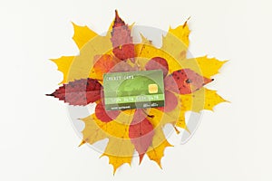 Autumn flat lay with credit card and leaves