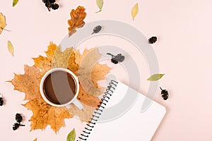 Autumn flat lay overhead top view coffee cup, dried leaves and notebook on pink studio background copy space minimal style