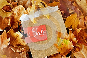 autumn flat lay with shopping bag, sale tag and leaves