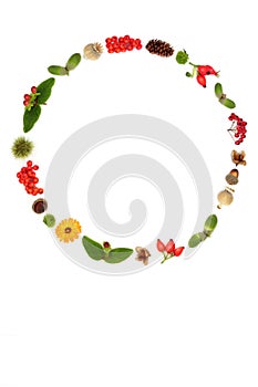 Autumn Flora and Fauna Thanksgiving Wreath