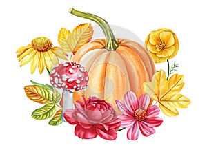 Autumn flora. Pumpkin, flowers, leaves, mushroom on isolated background, watercolor botanical illustration, hand drawing