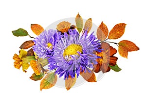 Autumn floral arrangement with purple asters, ginger marigold flowers and colorful leaves isolated on white