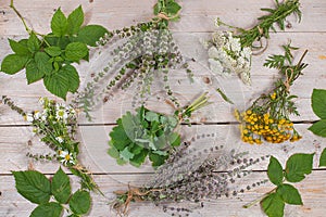 Autumn floral arrangement of wild herbs and leaves on old wooden background, alternative medicine concept