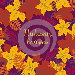 Autumn floral background with colorful silhouettes of tree leaves on purple background, design elements for the fall season banner