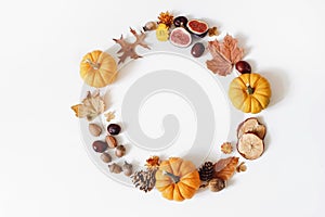 Autumn floral composition with orange pumpkins. Wreath of dry maple, oak leaves, flowers, acorns, fig and apple fruit