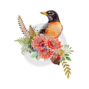 Autumn floral decor with robin. Watercolor illustration. Hand drawn bright garden bird with fall seasonal flowers