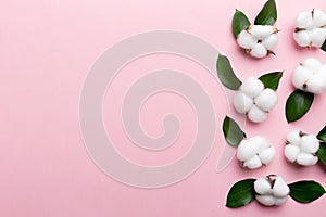 Autumn Floral Flat lay background composition. Dried white fluffy cotton flower branchwith green leaf top view on