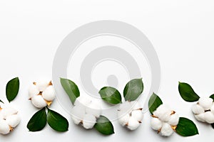 Autumn Floral Flat lay background composition. Dried white fluffy cotton flower branchwith green leaf top view on