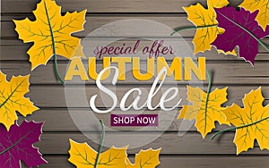 Autumn floral sale banner with paper colorful tree leaves on wood background. Autumnal design for the fall season banner, poster