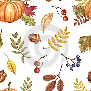 Autumn floral seamless pattern with hand painted watercolor pumpkin, fall foliage, berries on white background. Thanksgiving day