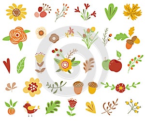 Autumn floral set Colorful floral collection yellow terracotta flowers leaves berries Autumn floral clipart Vector illustration