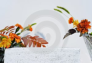 Autumn flower podium or display for product presentation