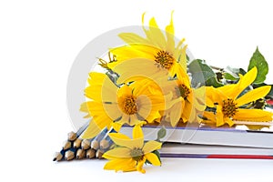 Autumn flowers with book and pencils