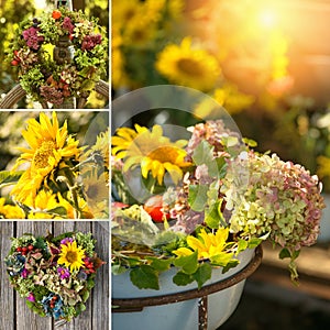 Autumn flowers collage