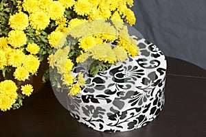 Autumn flowers in a pot. Yellow Chrysanthemum. Next gift in a cardboard box with an ornament. On a gray background.