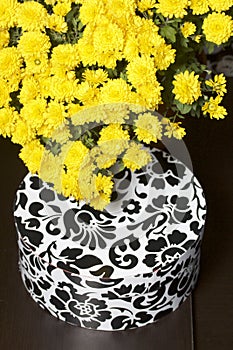 Autumn flowers in a pot. Yellow Chrysanthemum. Next gift in a cardboard box with an ornament. On a gray background.