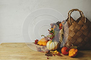 Autumn flowers in stylish basket, pumpkins, berries and nuts on rustic wooden table in room. Seasons greeting card. Happy