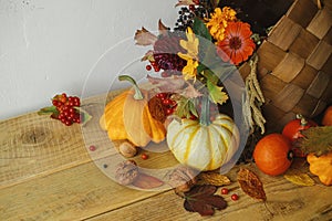 Autumn flowers in stylish basket, pumpkins, berries and nuts on rustic wooden table in room. Seasons greeting card. Happy