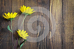 Autumn flowers on vintage wooden background