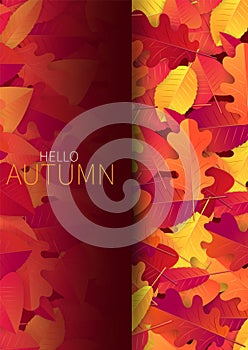 Autumn flyer with red and orange leaves on red background.