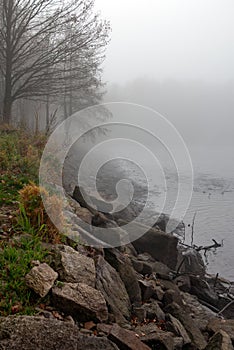 autumn, fog, fog over the pond, mists, mists over the fished pond, drained pond