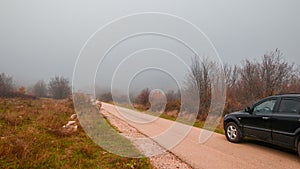 Autumn fog on the road