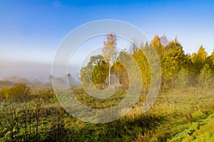 Autumn fog vivid and colorful a beautiful morning