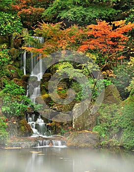 Autumn fog and waterfall