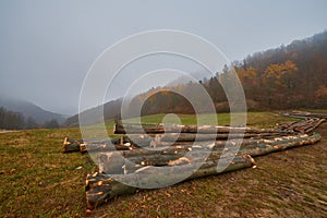 Jesenná hmlistá krajina s vyťaženým drevom v popredí. Skoro ráno. Chránené územie Vršatec, Slovensko.