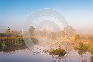 Autumn foggy rural sunrise. Sunny morning on river