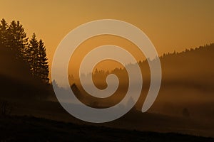 Autumn foggy sunrise in Å umava National Park