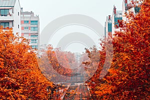 Autumn foggy view of the rails track and the bridge over them in a residential area of Paris