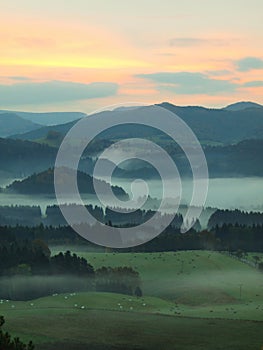 Autumn fogy countryside. View into long foggy valley full of colorful mist. Autumn melancholic landscape