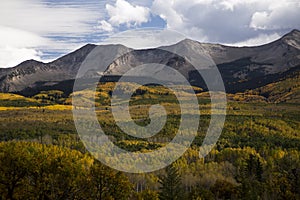 Autumn foilage near Crested Butte Colorado on Kebler Pass Rd. photo