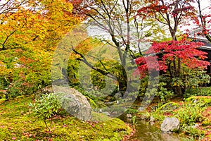 Autumn foilage in Tenryu-Ji, Arashiyama