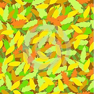 Autumn foliage