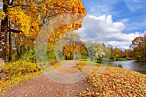 Autumn foliage in Alexander park, Tsarskoe Selo Pushkin, Saint Petersburg, Russia