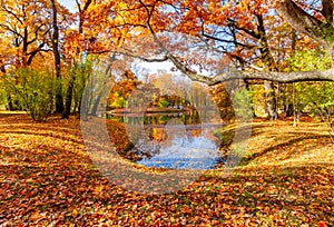 Autumn foliage in Alexander park, Tsarskoe Selo Pushkin, Saint Petersburg, Russia