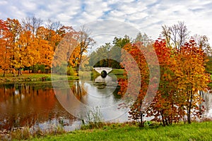 Autumn foliage in Alexander park, Tsarskoe Selo Pushkin, Saint Petersburg, Russia