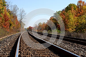 Autumn foliage along railroad tracks