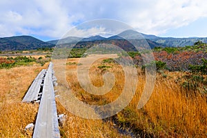 Autumn foliage in Aomori, Japan