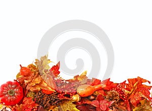 Autumn foliage background