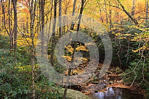 Autumn Foliage Blue Ridge Appalachian Mountains NC